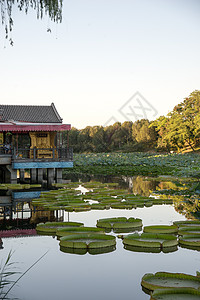 著名景点北京圆明园图片