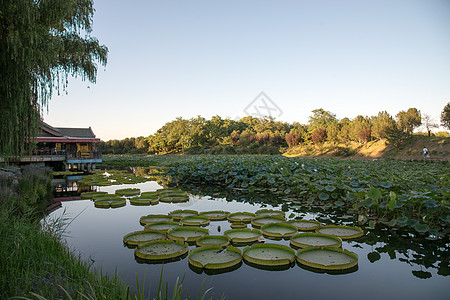 人造湖旅游遗址建筑北京圆明园背景