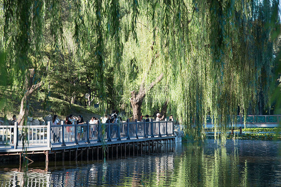 记忆绿色公园北京圆明园图片