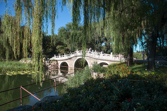 池塘都市风景绿色北京圆明园图片