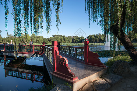 人造湖夏天北京圆明园背景