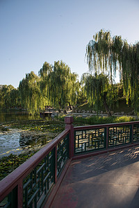 皇室白昼保护北京圆明园背景图片