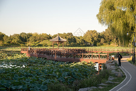 建筑记忆古典式北京圆明园背景