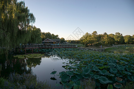 夏日北京圆明园图片