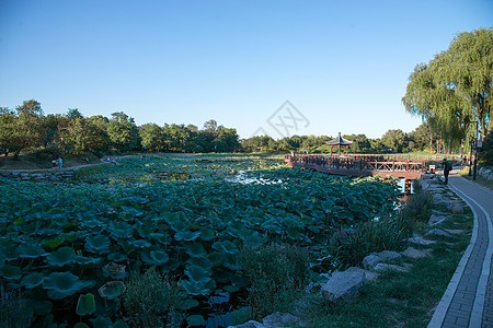 城市湿地园林古老的湖北京圆明园背景