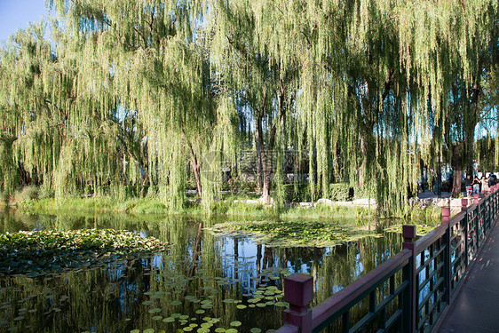 水平构图旅游目的地夏天北京圆明园图片