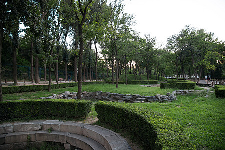 树破败古代北京圆明园图片