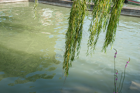 昆明湖湖传统文化北京颐和园图片