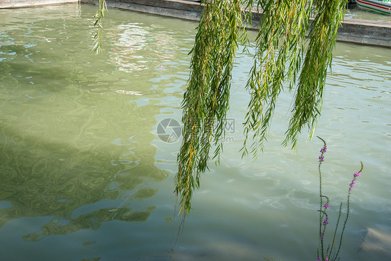 昆明湖湖传统文化北京颐和园图片