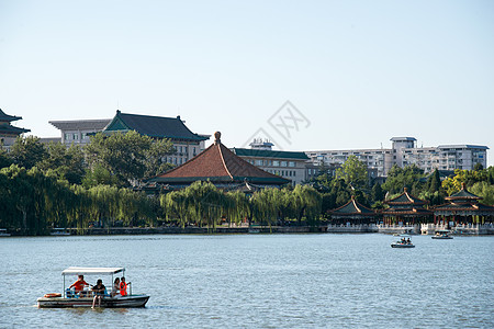 湖环境树北京北海公园高清图片