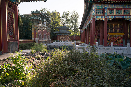 名胜古迹都市风景树北京北海公园背景图片