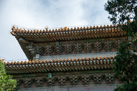 湿地摄影户外明朝摄影北京十三陵背景