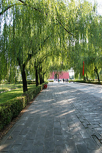 垂直构图都市风景无人北京十三陵背景图片