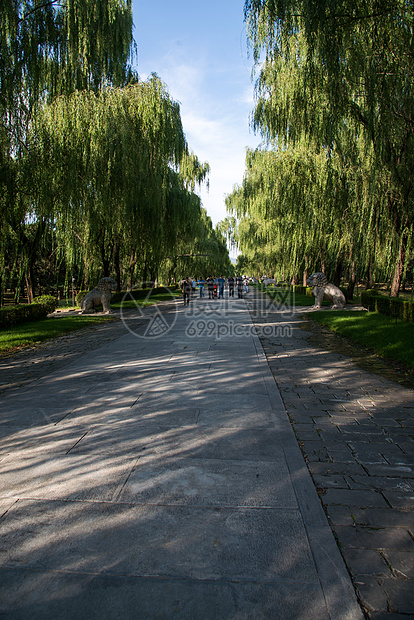 树旅游目的地旅游北京十三陵图片