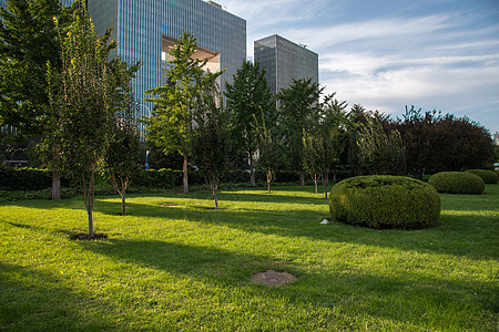 绿化建筑结构城市生活北京东直门图片