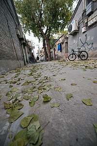 街道旅游旅游胜地北京胡同图片