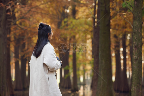 秋季女性公园拍秋景背影图片