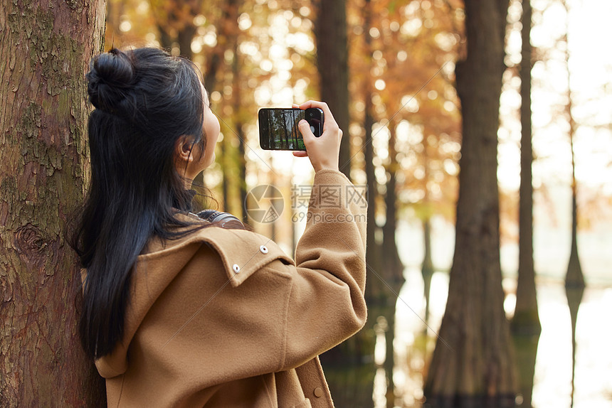 美女用手机记录秋季风景图片