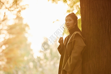 夕阳下的女性背影夕阳下秋季美女形象背景