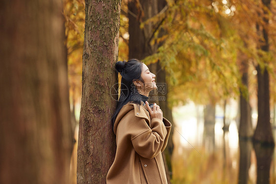 郊野水杉树公园美女秋季郊游图片