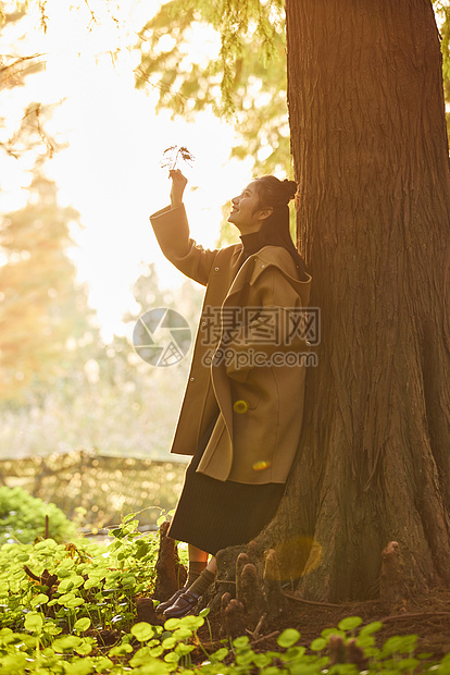 秋季夕阳下唯美女性图片