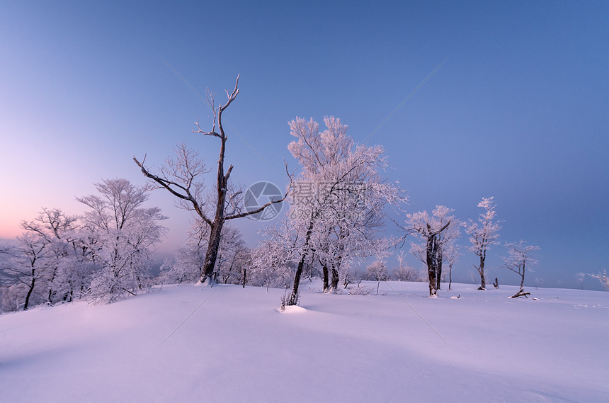 冬天雾凇雪景风光图片