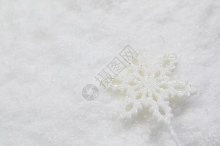 雪景静物雪花特写背景图片