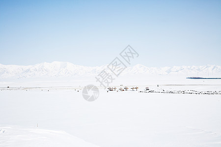 冬天雪景冬天新疆5A景区赛里木湖背景