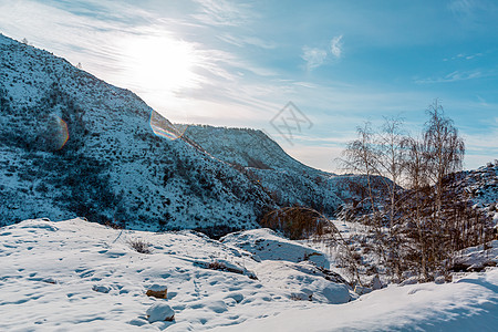 新疆喀纳斯禾木景区冬日雪景风光图片