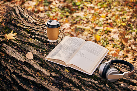 金秋枫叶树干上的书籍咖啡跟耳机背景