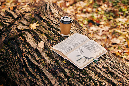 树干上的书籍咖啡与眼镜高清图片