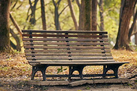 阳光鲜艳公园里的长椅背景