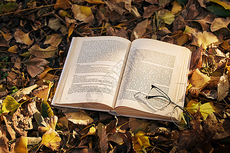 金秋枫叶落叶堆中的书本与眼镜背景