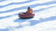 雪地里滑雪的小男孩图片