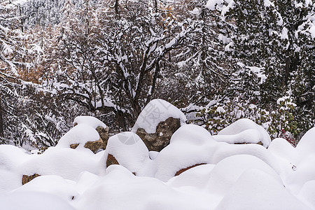 四川毕棚沟冬季雪景图片