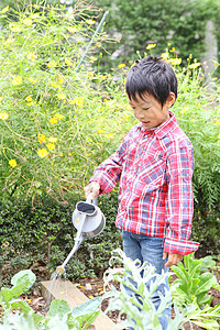 花园里给植物浇水的小男孩图片