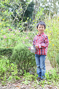 幼儿园儿童在花园里种植蔬菜图片