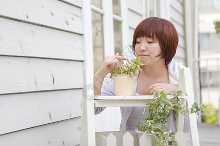 抚摸盆栽食物的女生图片