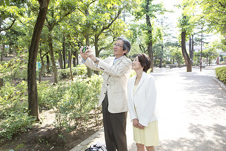 公园里散步看风景的中老年夫妻图片