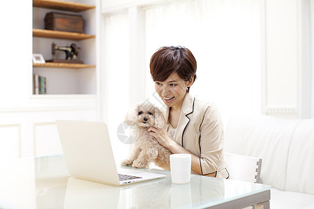 抱着贵宾犬办公的女性图片