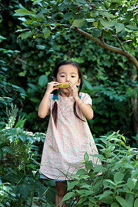 树林里吹口琴的女孩图片