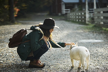 暴雨开车抚摸法国斗牛犬的妇女背景