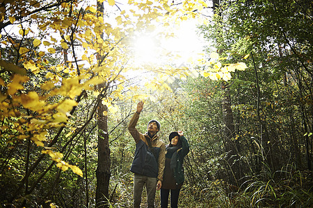 一对夫妇漫步在森林里图片素材