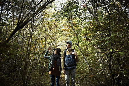 一对夫妇走过森林图片