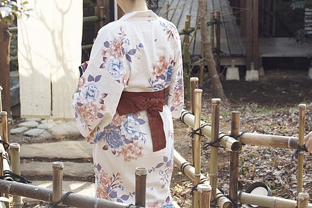 和服 女子穿和服的女子背影背景