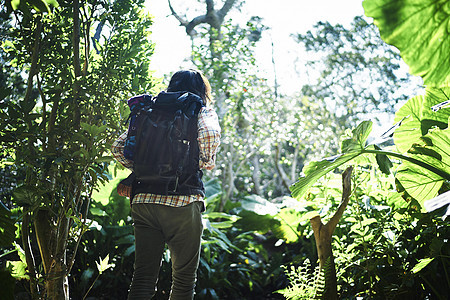 森林中一个冒险旅行的男背包客图片