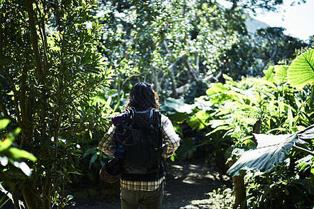 森林中冒险旅行的男背包客图片