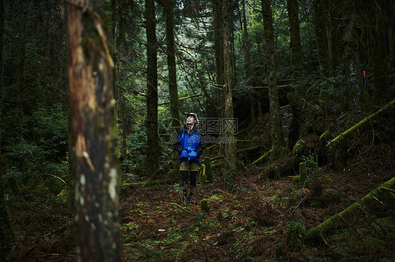 森林中徒步旅行的男人图片