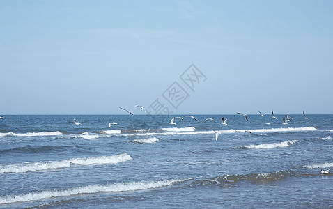 金泽海背景图片