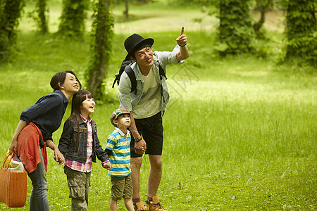 风景 家人一家四口在树林间散步游玩看风景背景